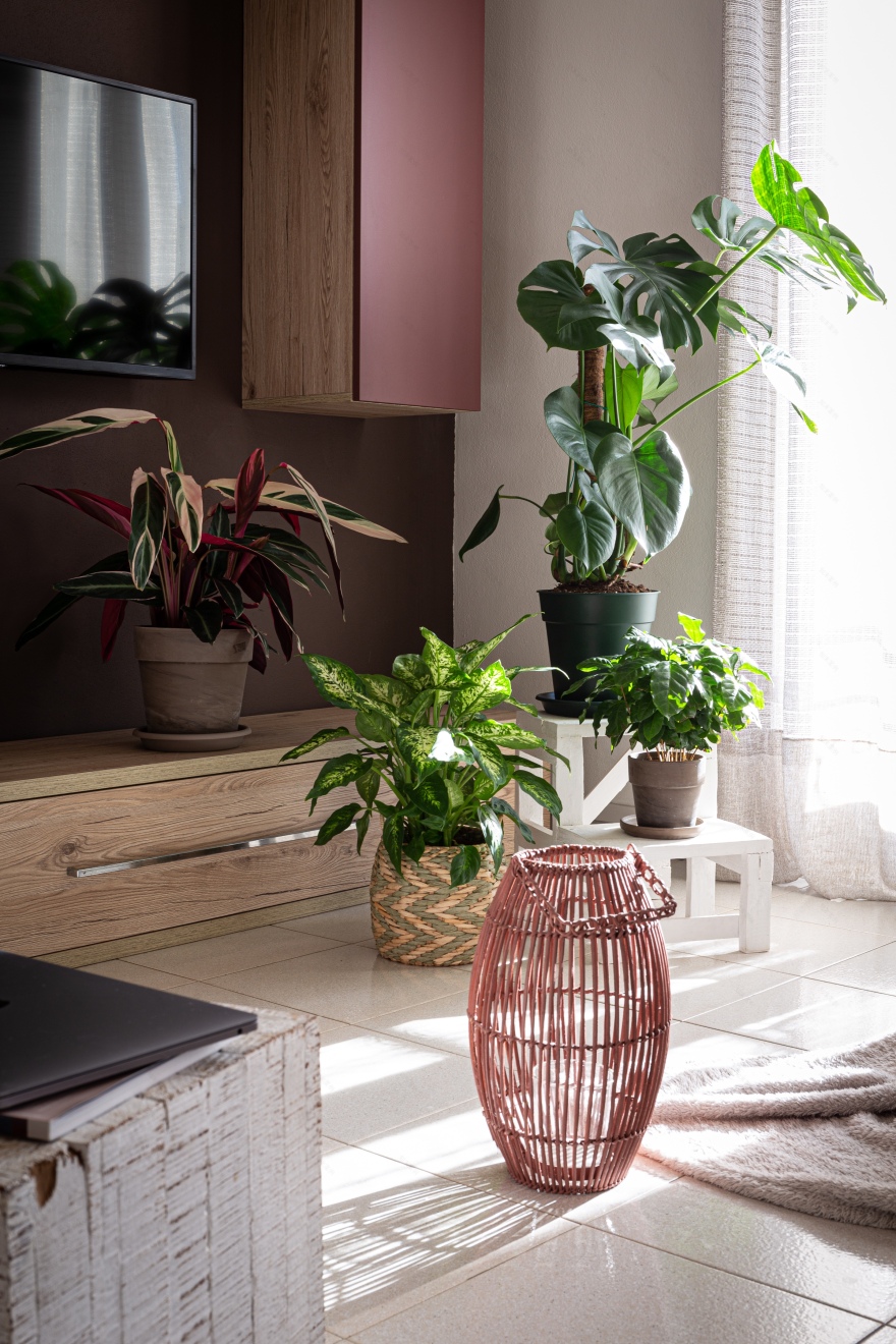 50 年代建筑的明亮客厅改造丨意大利韦尔切利-8