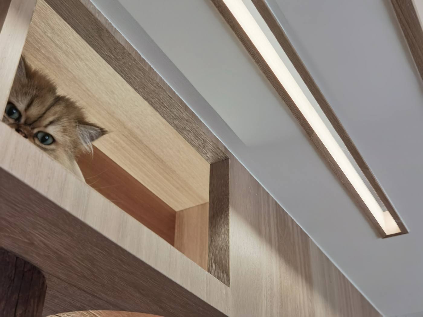 学林雅院 | 目申设计-16