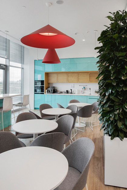 Johnson & Johnson 绿色环保办公室-36