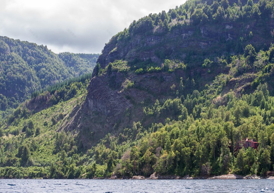 融入森林的日光别墅-50