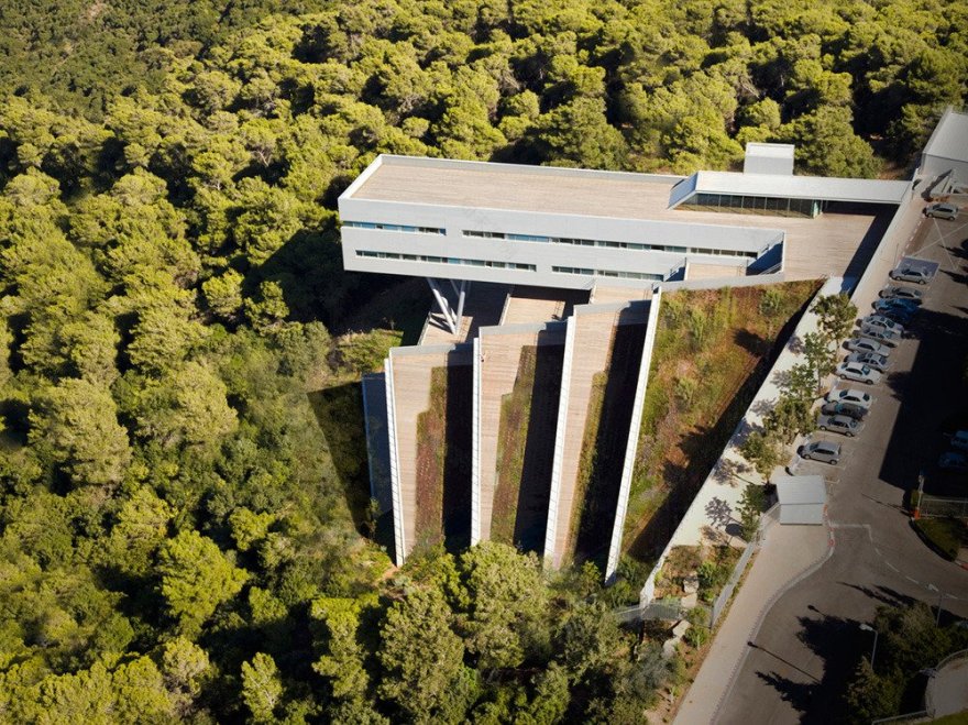 海法大学学生中心-19