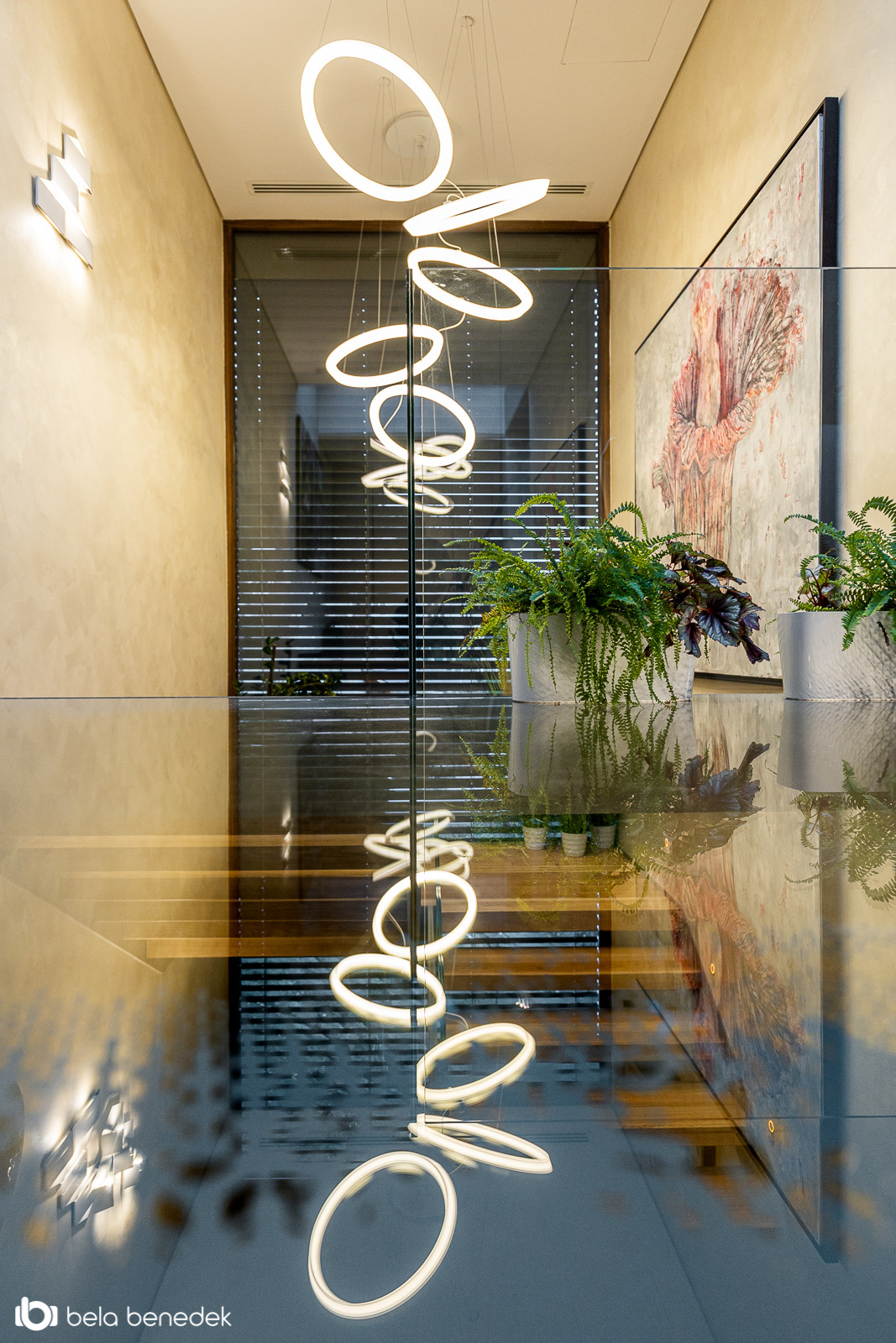 Stefan Vlad丨别墅建筑丨House X-21