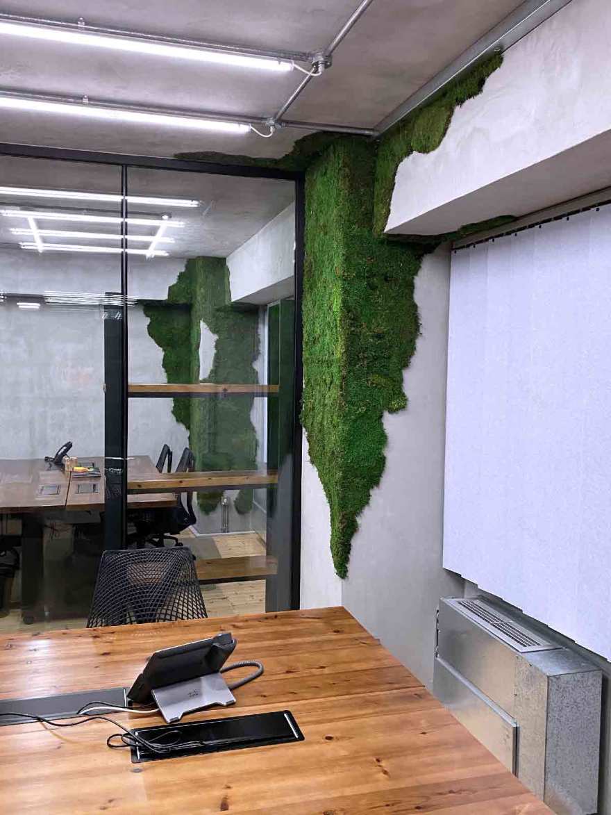 皇家松树与垂直花园的绿色办公空间-13