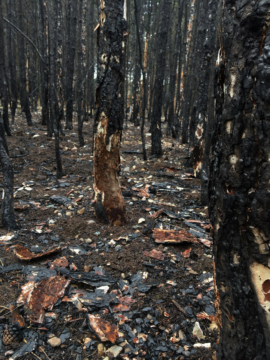 “呼唤希望”沉浸式装置丨奥地利维也纳丨Superflux设计工作室-61