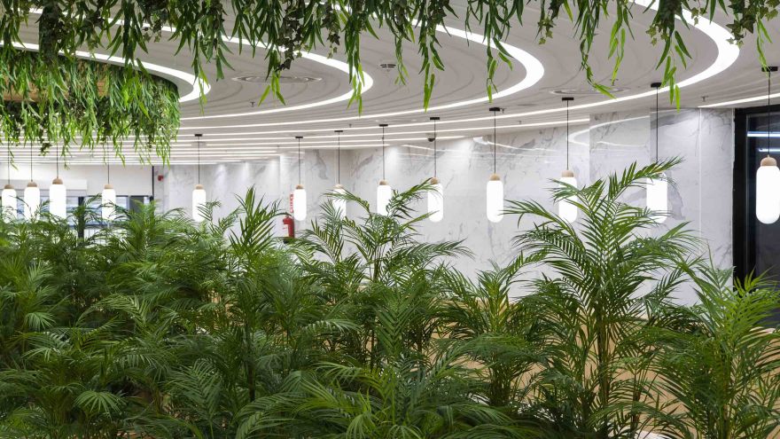 扎伊迪购物中心-3