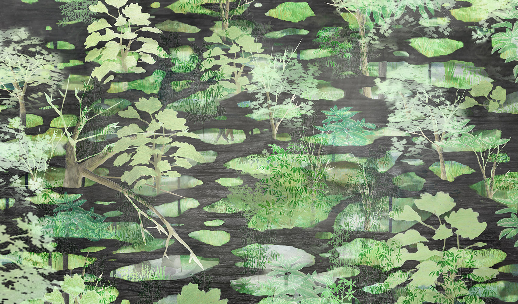 木陰雲，东京/夏日午后古树间飘荡的凉影-65