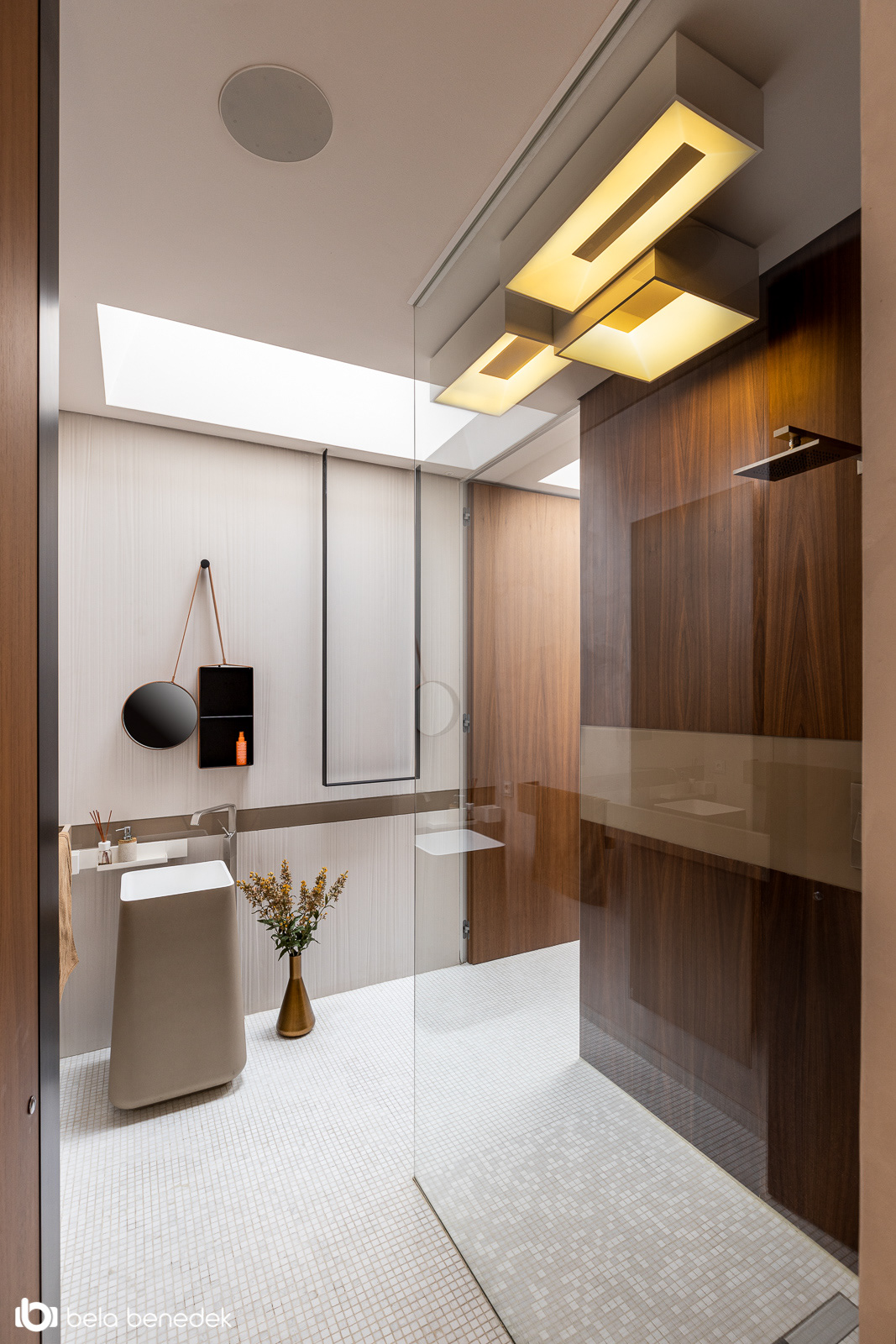 Stefan Vlad丨别墅建筑丨House X-12