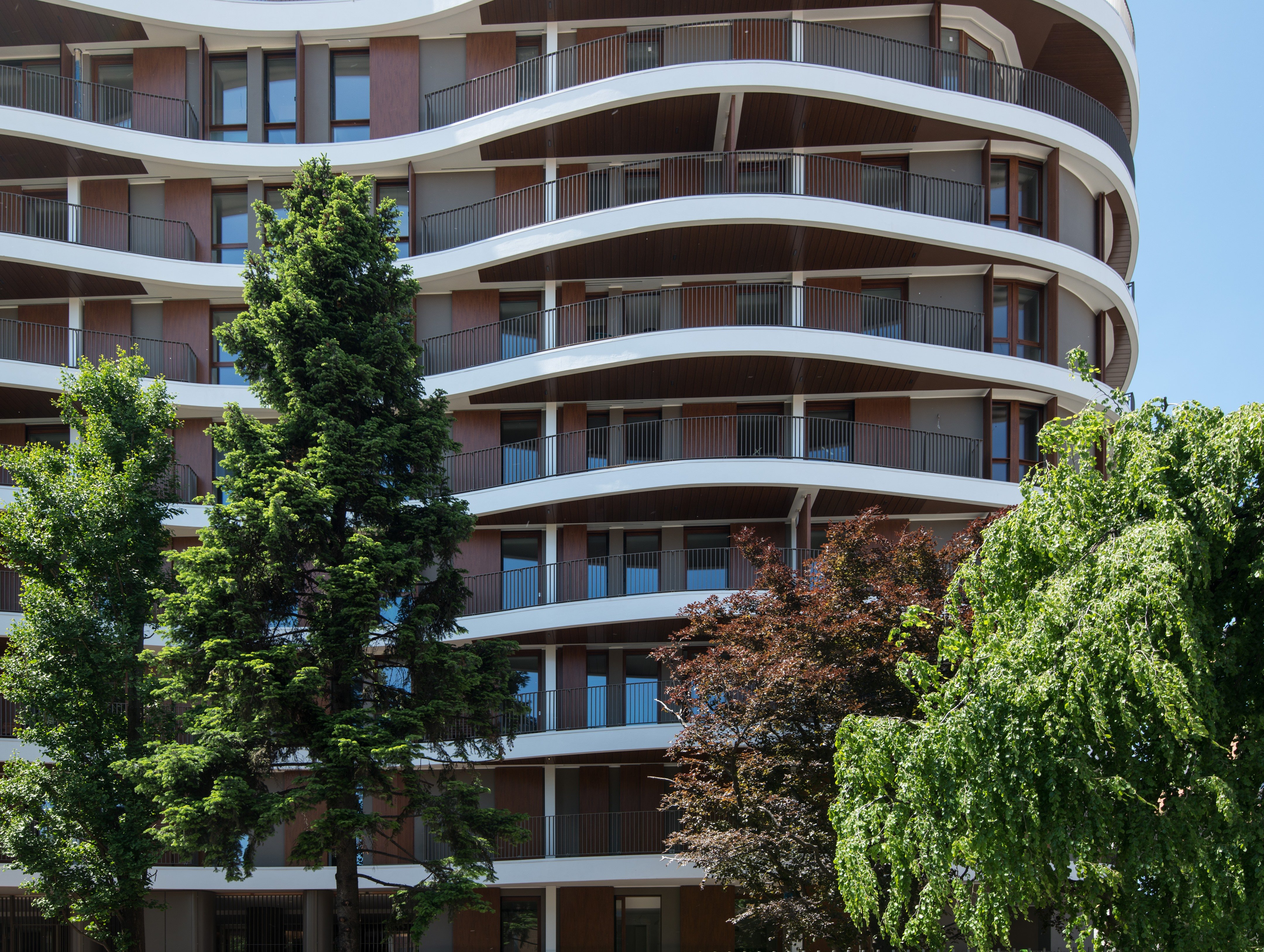 阿尔塞里奥 10-2