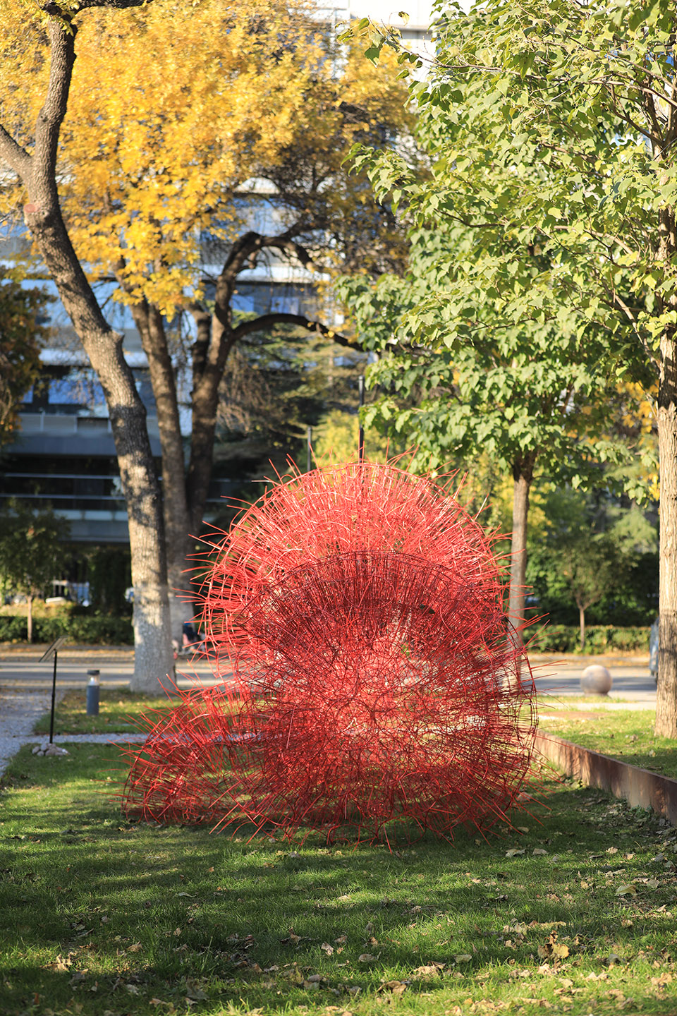 丹岩丨中国北京丨北京林业大学-13