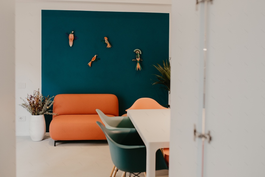 加里波第大街 31 号-12