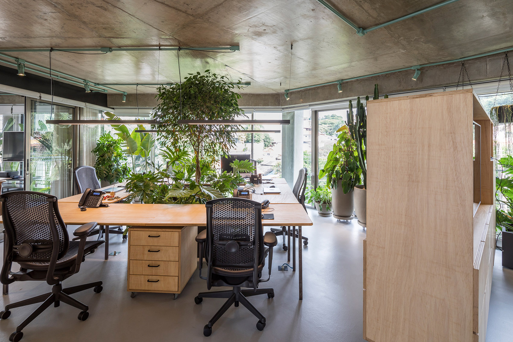 Rizoma办公空间，圣保罗/充满绿意的办公空间-6