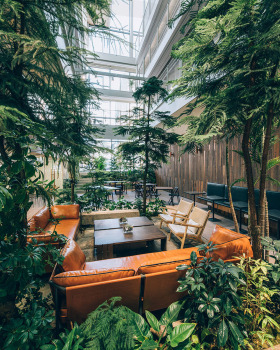 首尔 Treehouse 青年共享公寓——绿意盎然的城市树屋