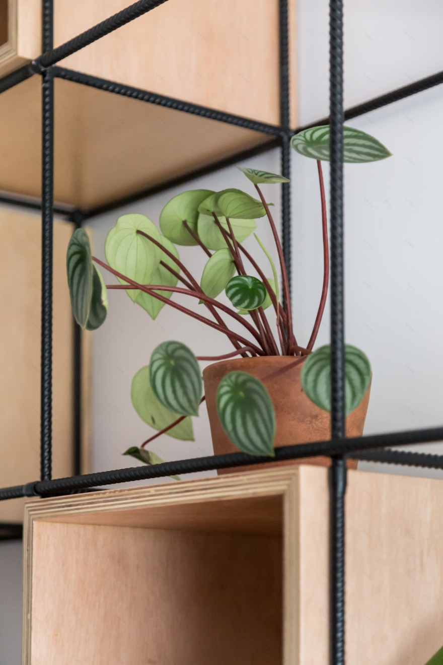 黑白灰的简约之家 | 巴西公寓设计案例-20