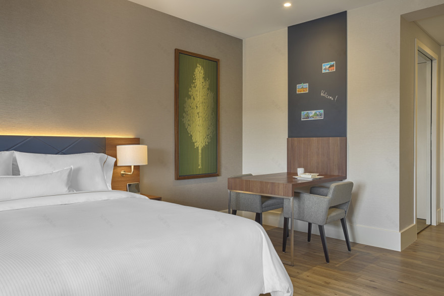 绿色环保的 Amsterdam Element Hotel-10