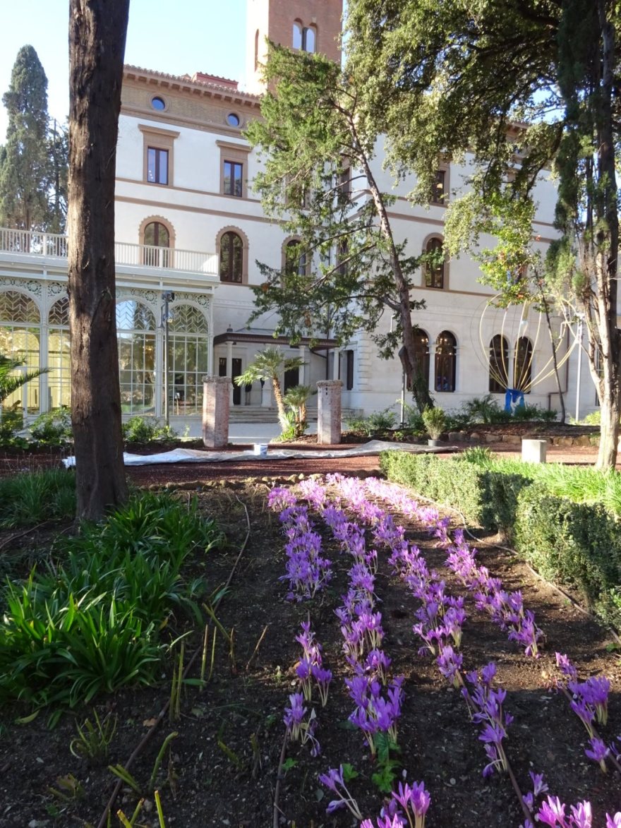 古别墅重生 · LUISS Business School 打造优雅教育空间-7