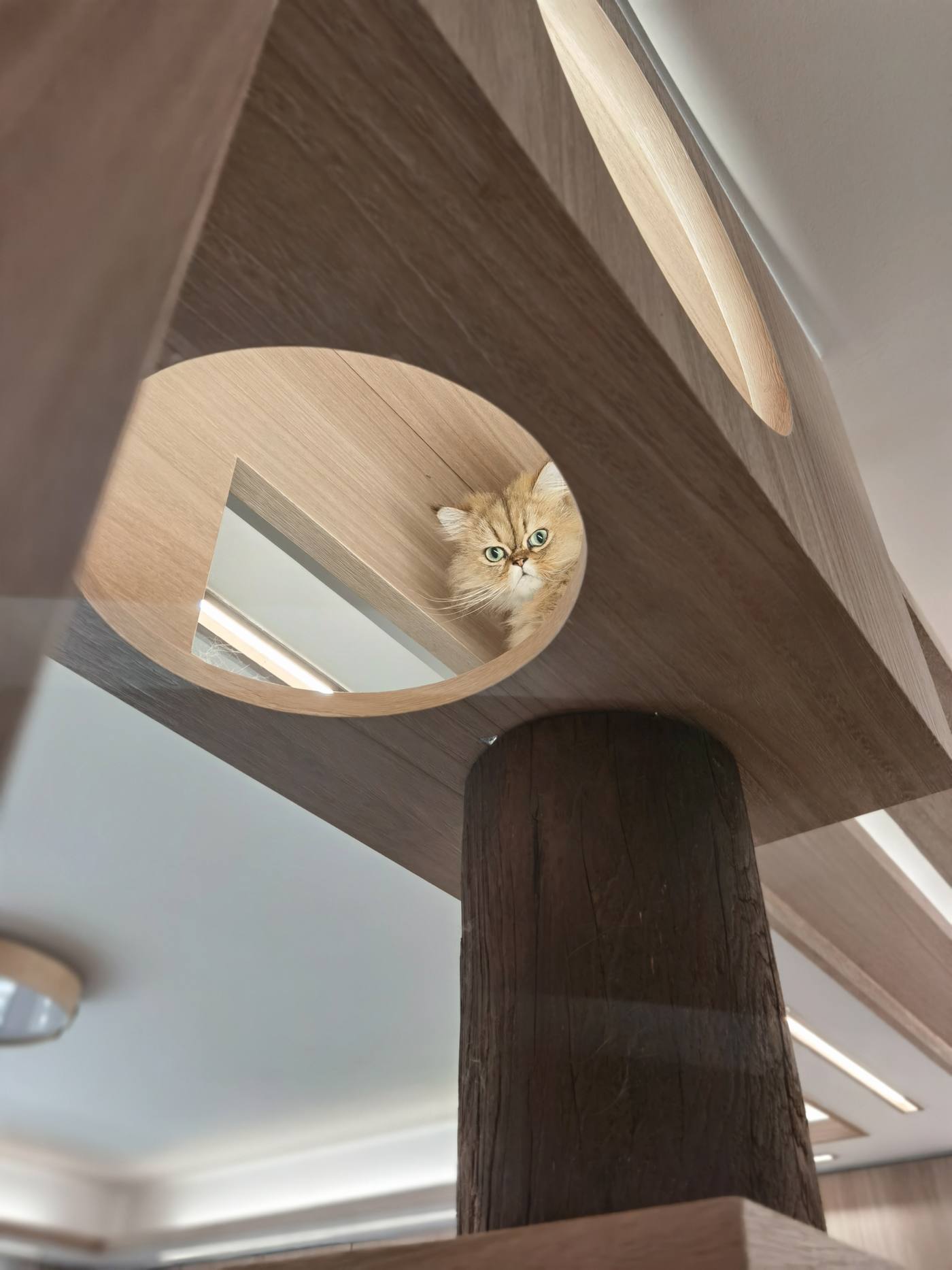 学林雅院 | 目申设计-14