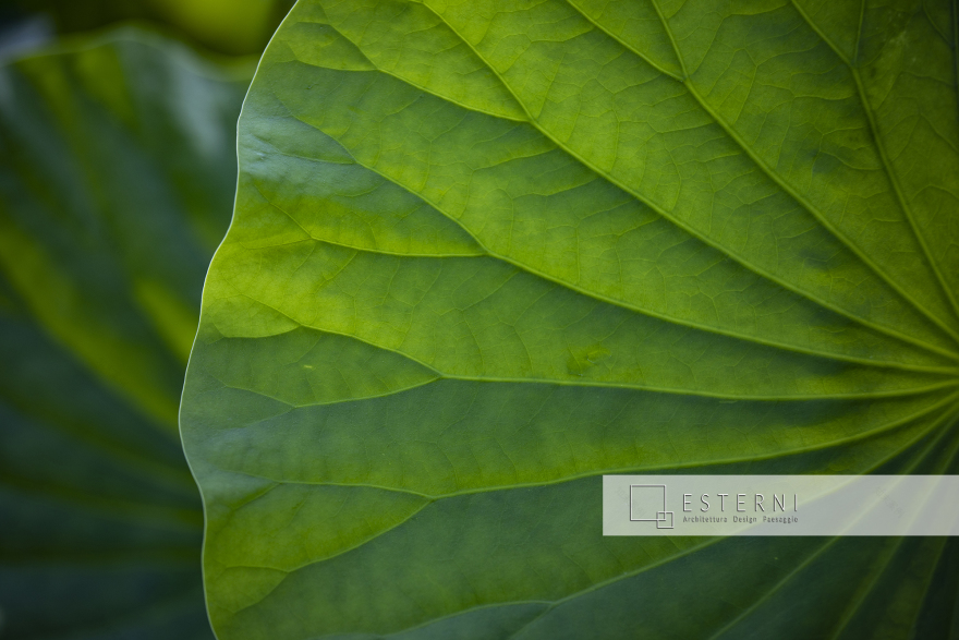 山地公园改造丨Emanuele Ferrari-9