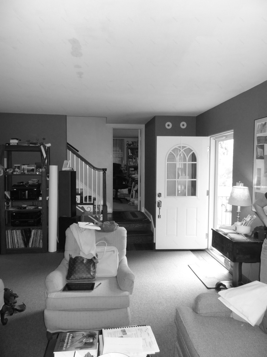 Arlington 老宅新生命,绿色环保现代别墅设计-14