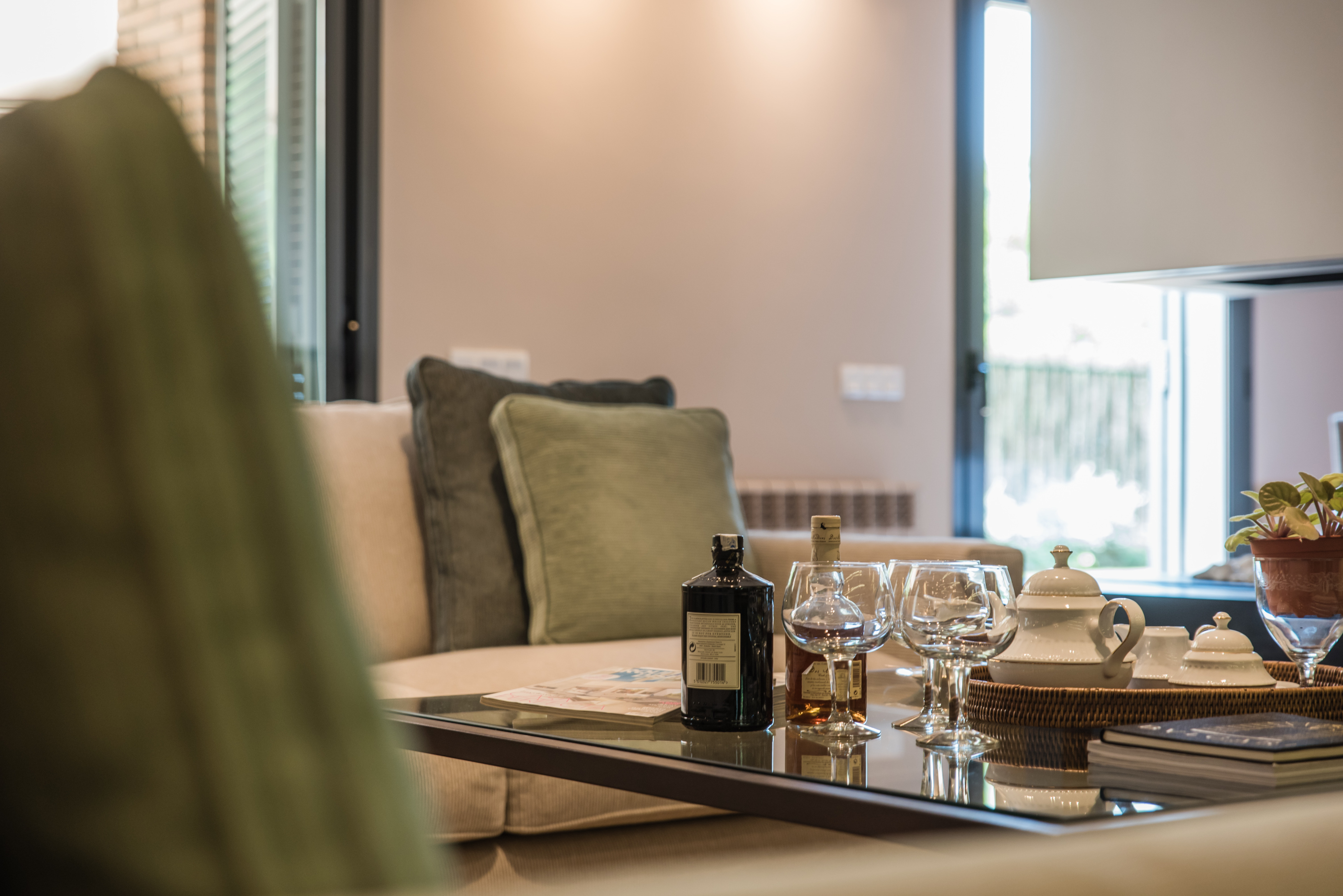 私人花园中的现代公寓设计-10