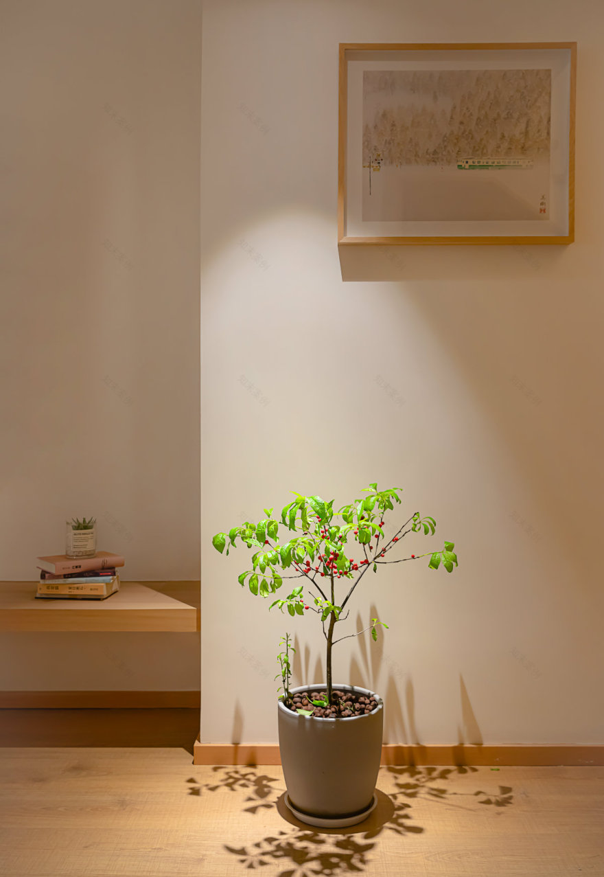 日式风格的两人两猫,loft公寓设计-28