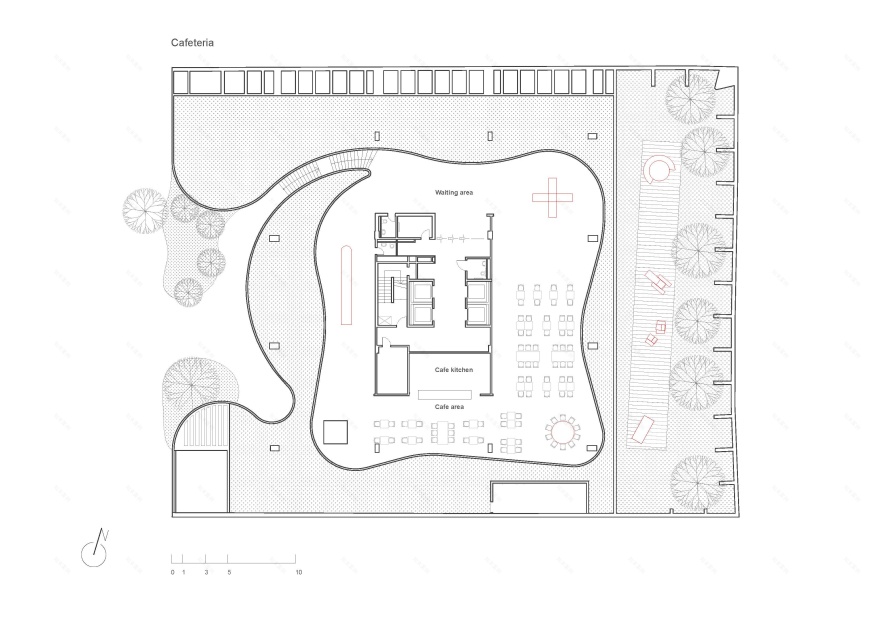 巴西创意艺术学院-32