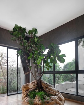 墨西哥 Casa Espejo Verde 垂直花园丨Daniel Gómez Bilbao