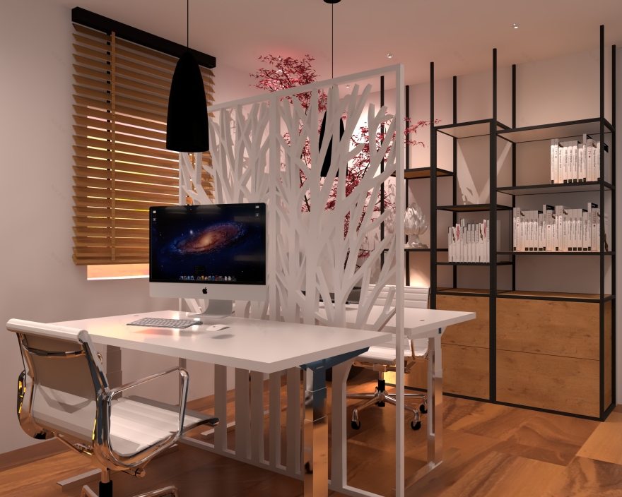 双面魅力 · 家居办公空间设计-1