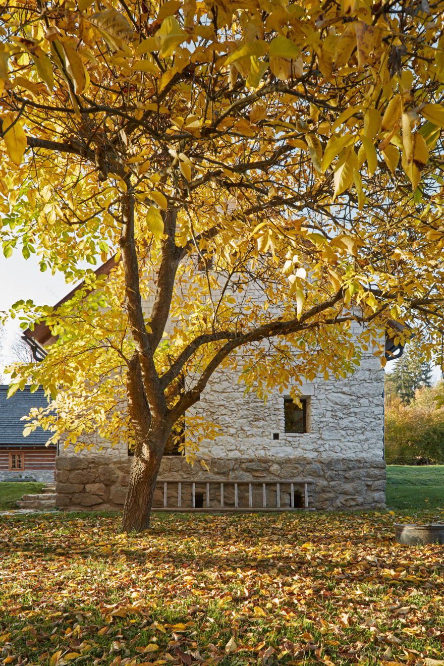 乡村别墅重建,传统工艺与自然之美的融合-6