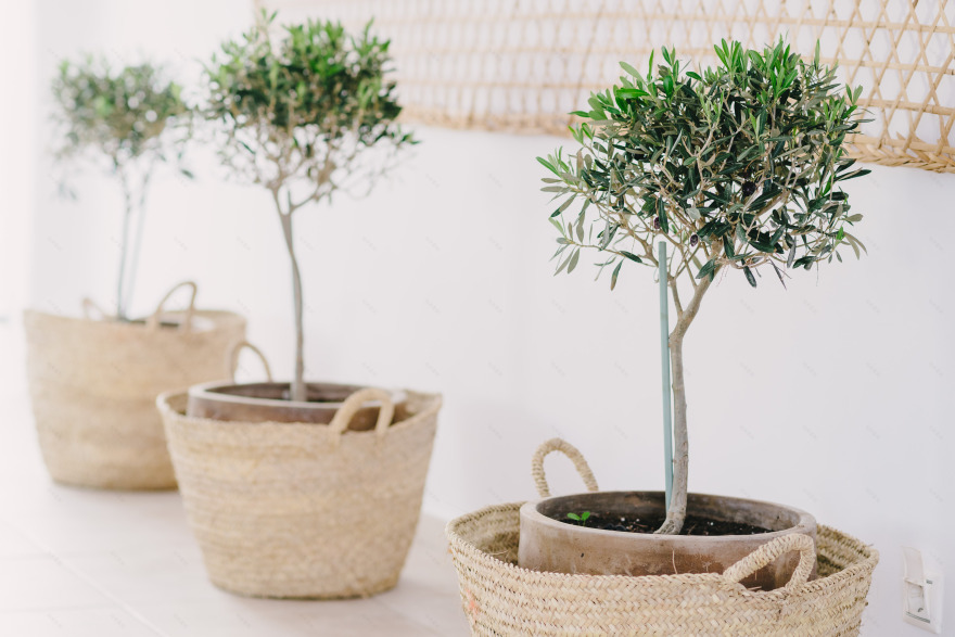 Mykonos 岛上的 Rocabella 艺术酒店 | 融入自然的现代设计-48