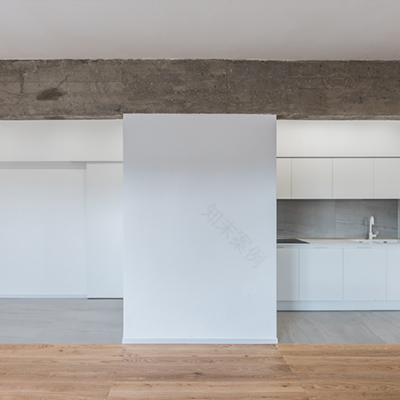 日常生活的真实之美——路易吉的加入-36