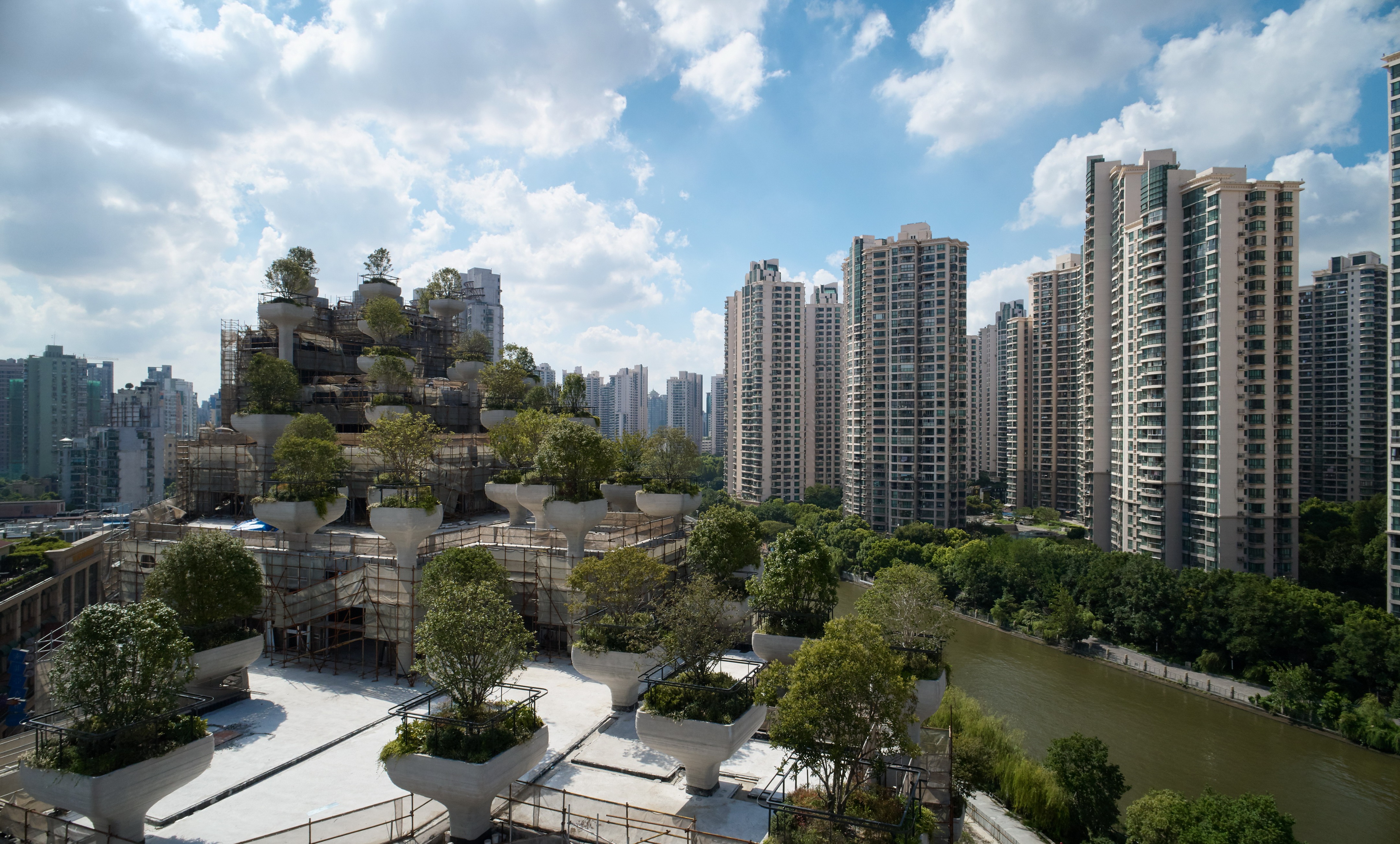 上海 1000 棵树丨中国上海丨Heatherwick Studio-11