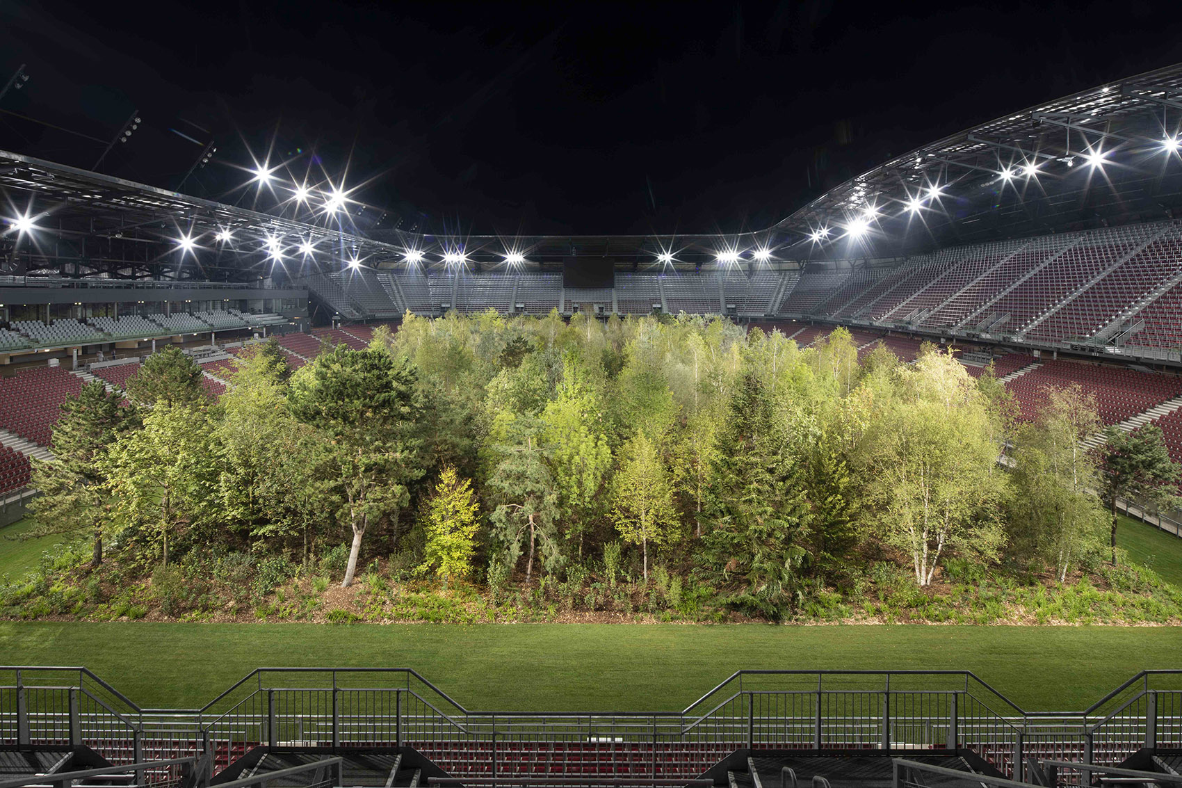 “致森林——自然不倦的魅力”展览，奥地利/足球场变身欧洲中部森林-20