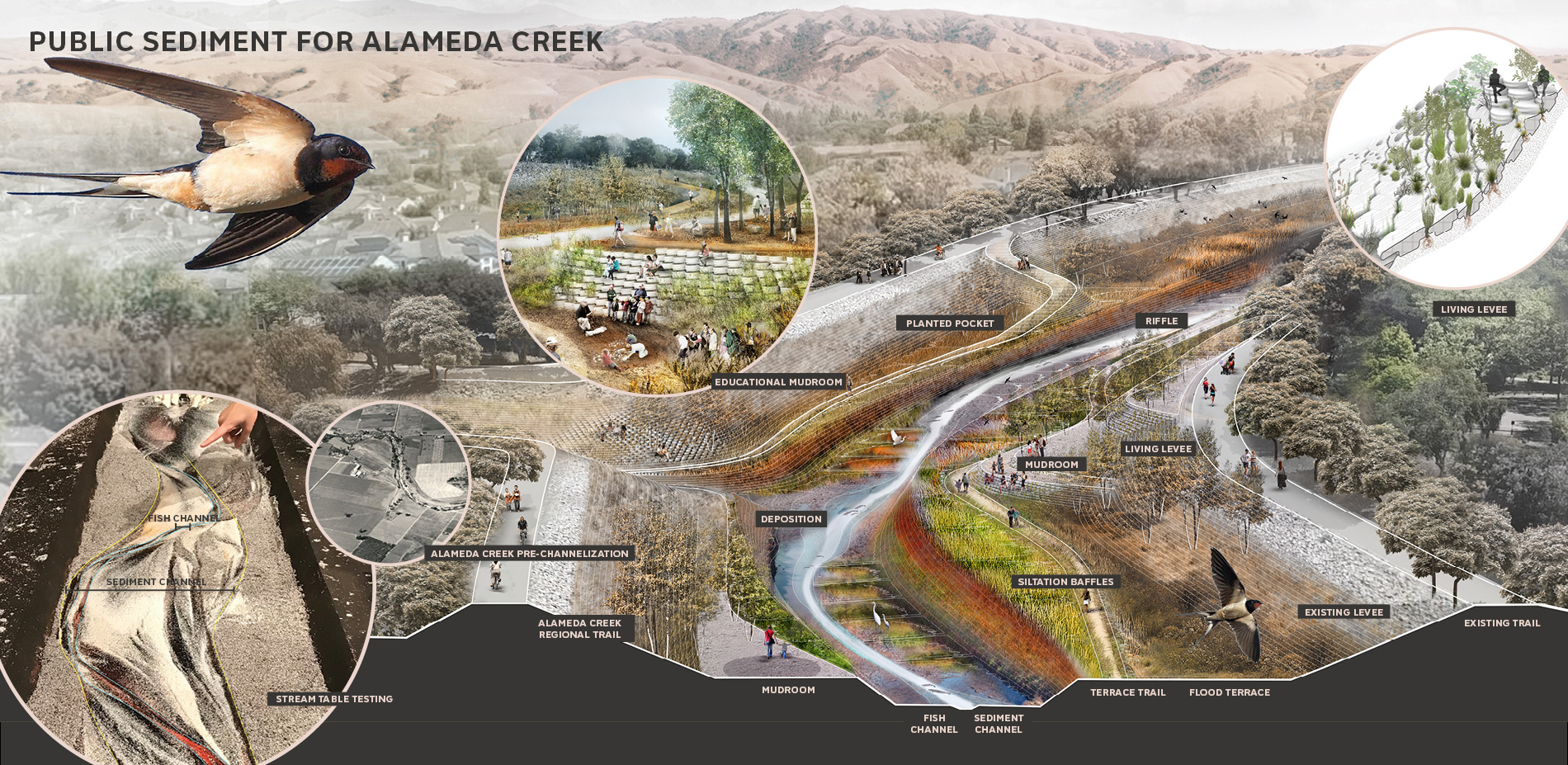 2019 ASLA分析规划类荣誉奖：阿拉米达溪公共沉积物计划，旧金山/通过重新设计沉积物径流来维持湾区生态系统以适应海平面的上升-48
