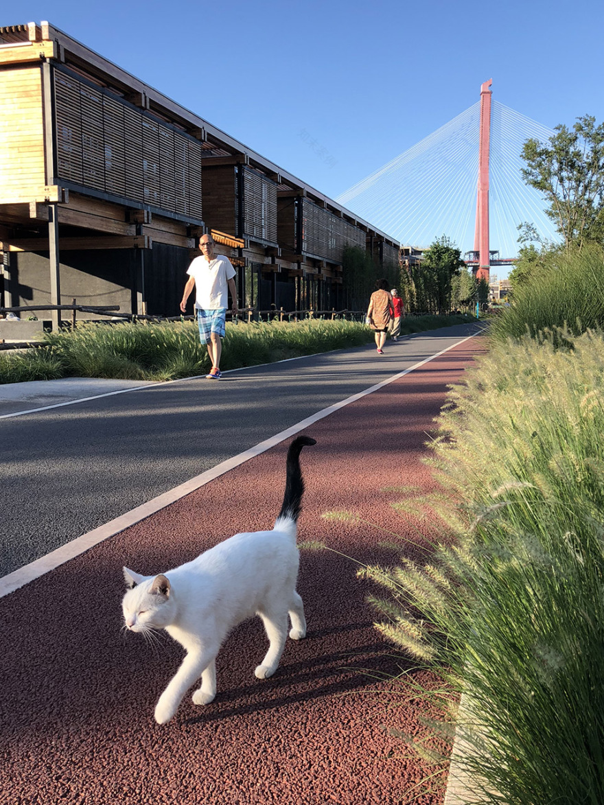 上海杨浦滨江二期绿道 | 工业遗存重生,公共空间扩展-33