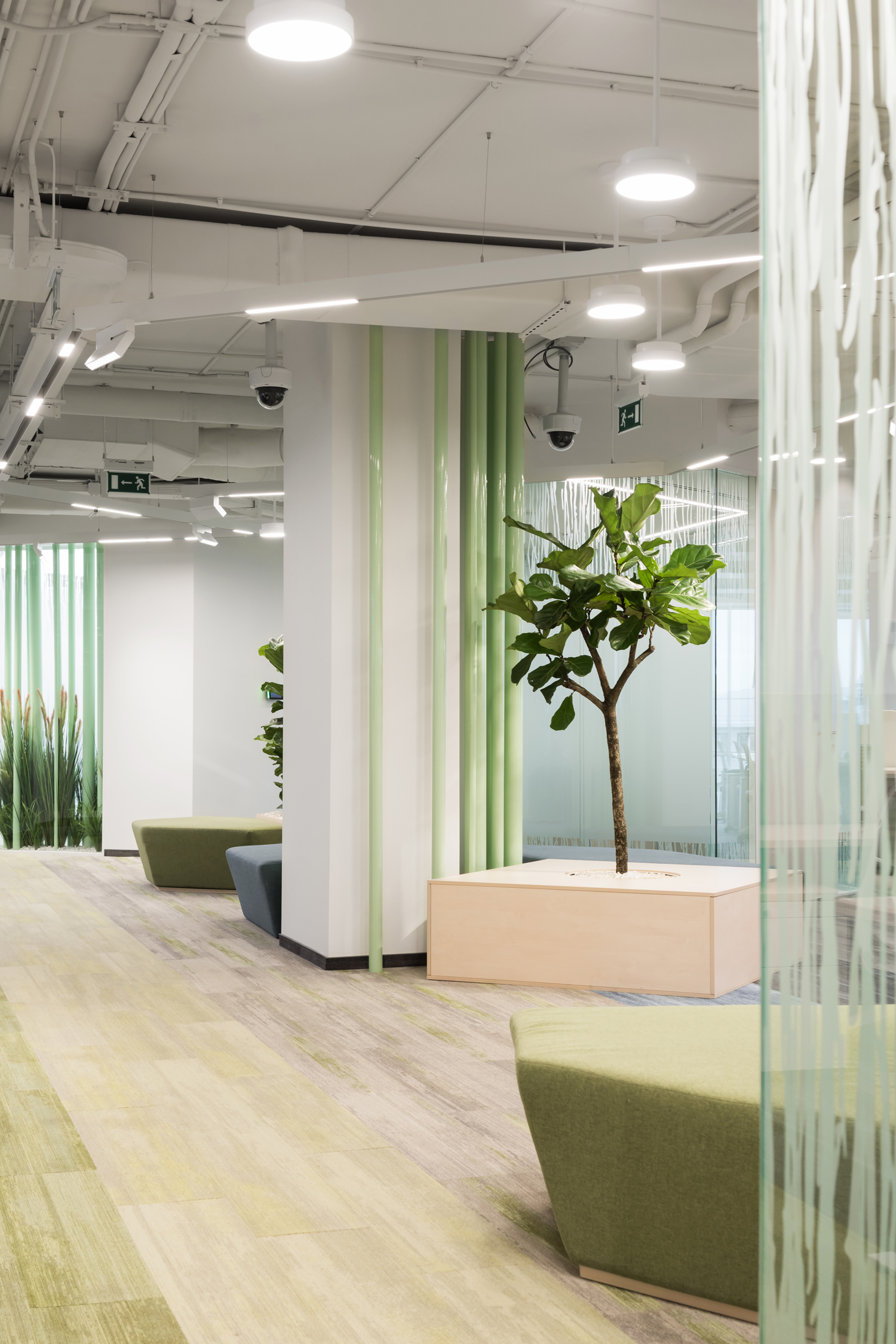 Cargill 莫斯科办公室-7