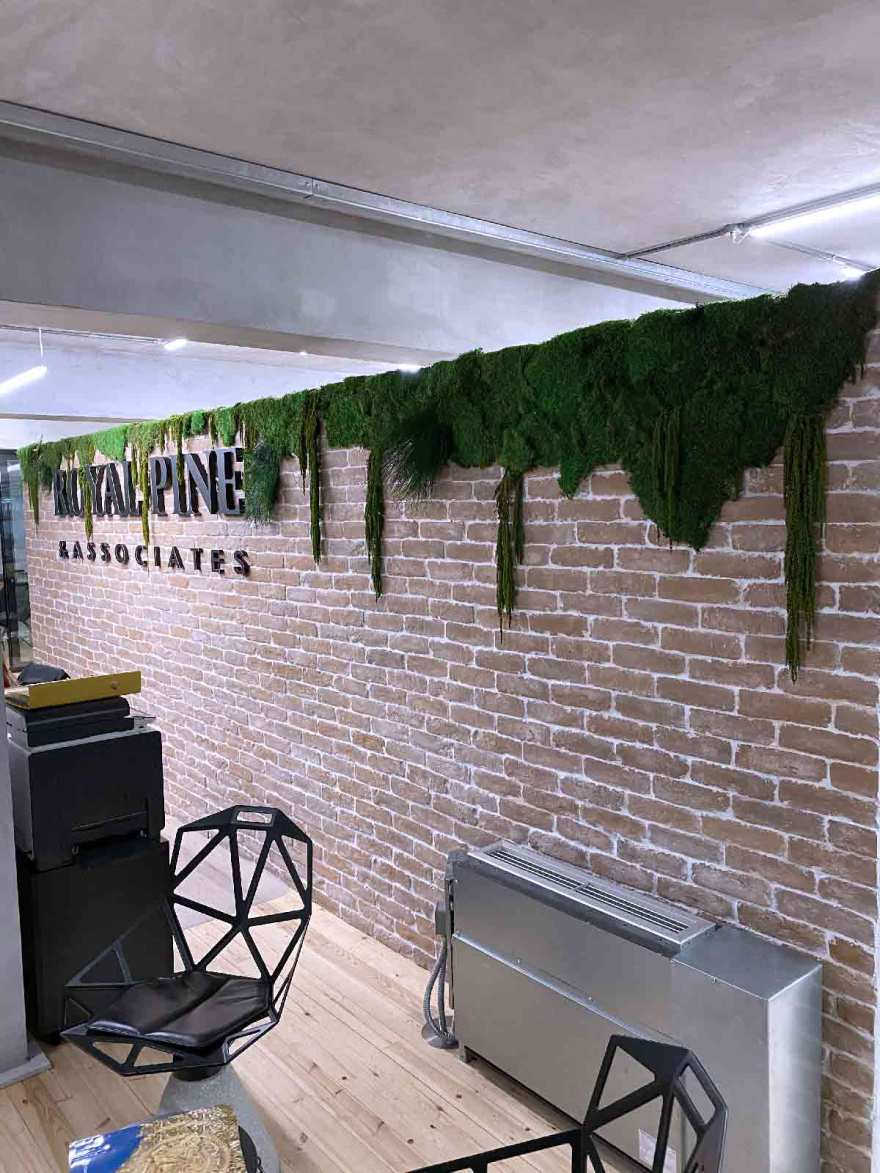 皇家松树与垂直花园的绿色办公空间-18