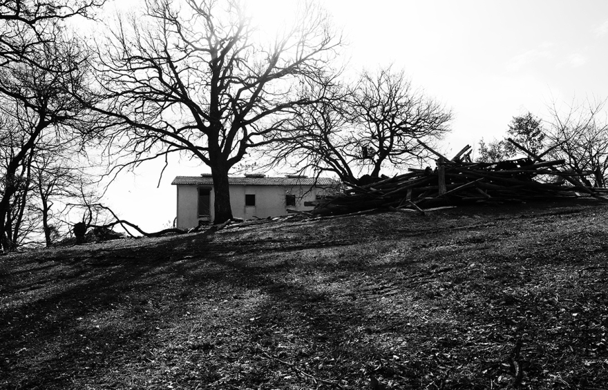 意大利农场改造-31