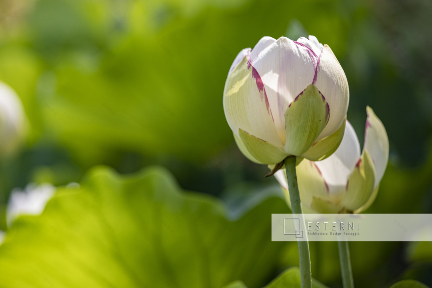 山地公园改造丨Emanuele Ferrari-10