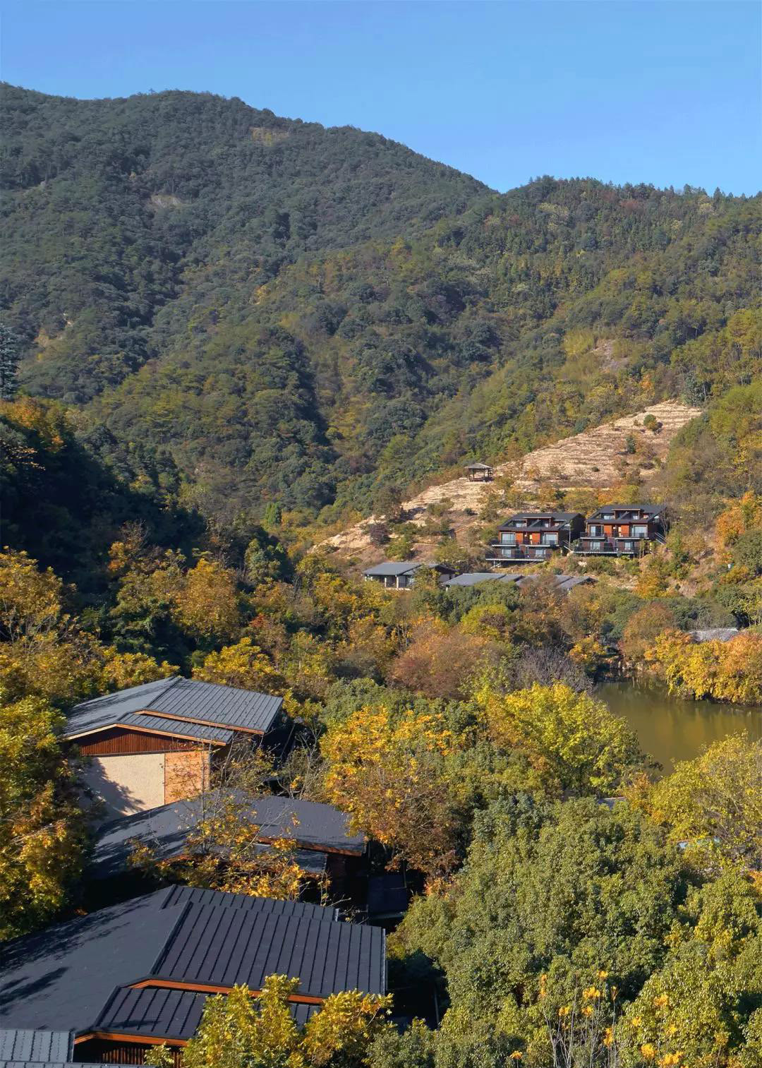 富春开元芳草地乡村度假酒店-14