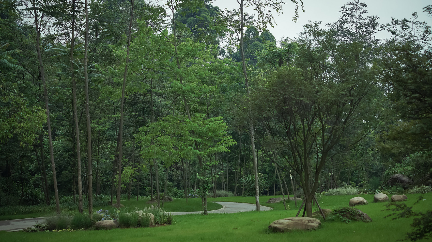 峨眉·高桥小镇，四川/植根大地的恋歌-72