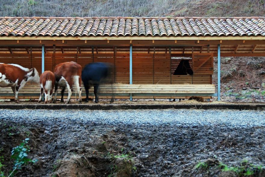 智能农舍 | 模块化设计与环保材料应用-0