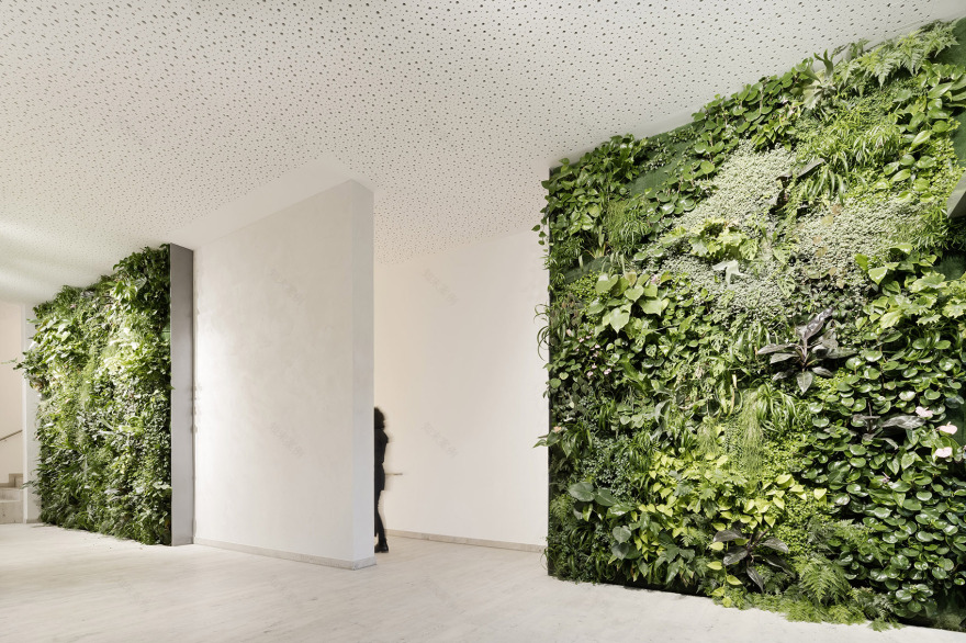 德国图宾根市生态友好木材混合结构商业大楼丨a+r Architekten-21