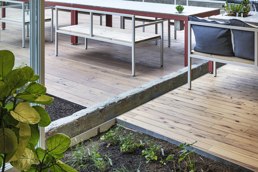 东京槲寄生孵化办公室-3