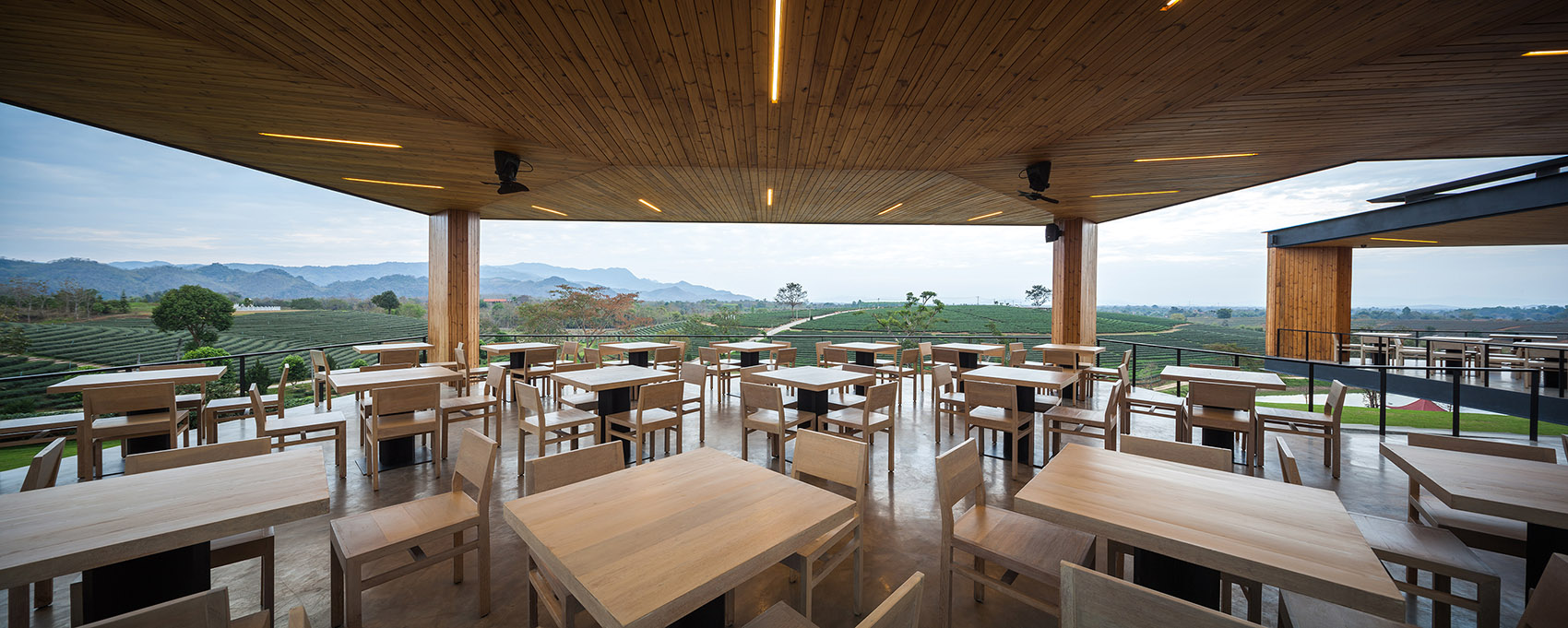 Choui Fong茶园咖啡厅，泰国/纵览群山，茶香沁脾-90