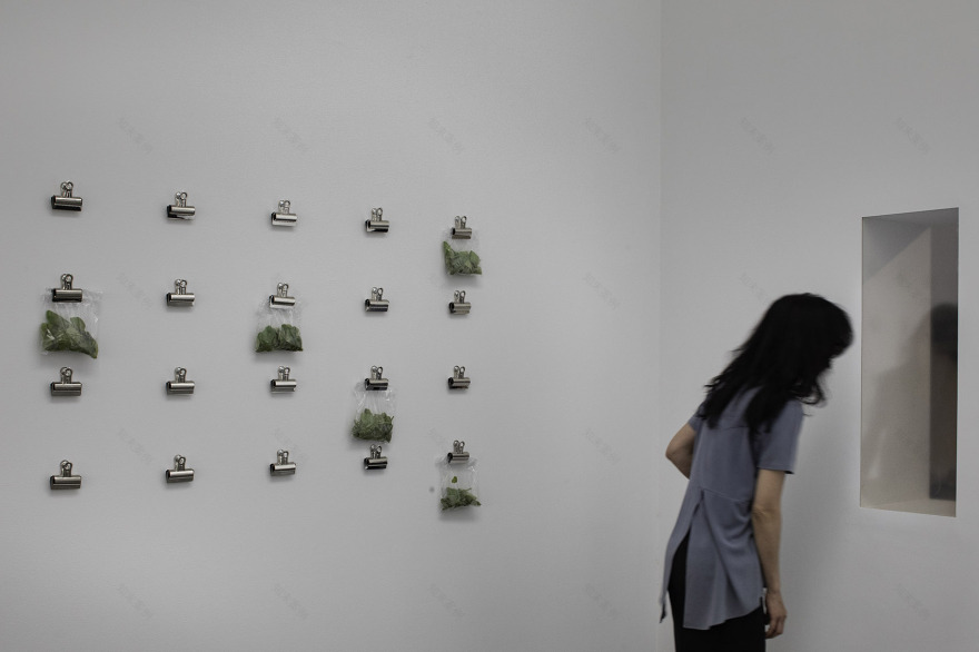 “我们真的有那么不同吗?”城市农场展丨美国纽约丨DS+R-19