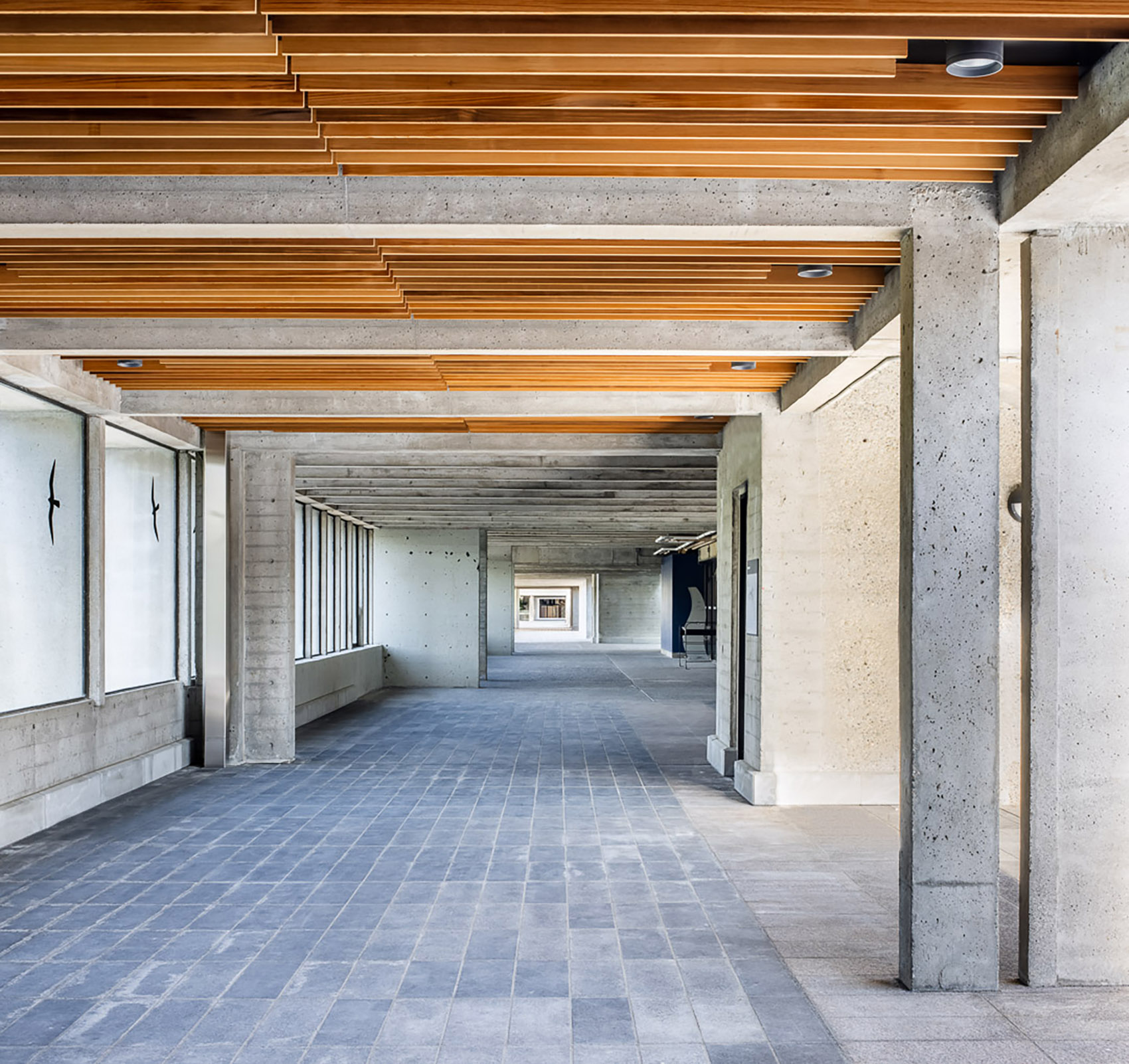 SFU 本拿比校园广场改造丨加拿大丨多家设计事务所-39