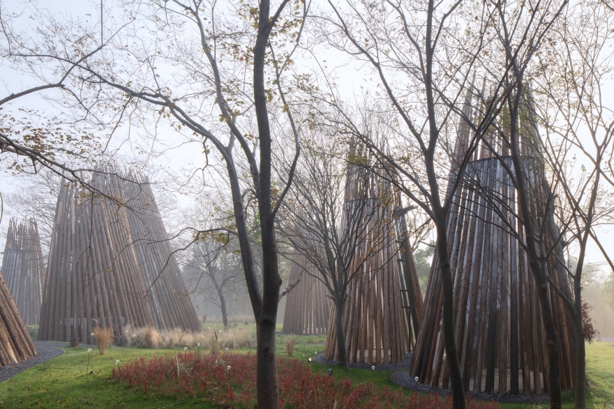 森林中的森林——溧阳杨湾游客中心-13