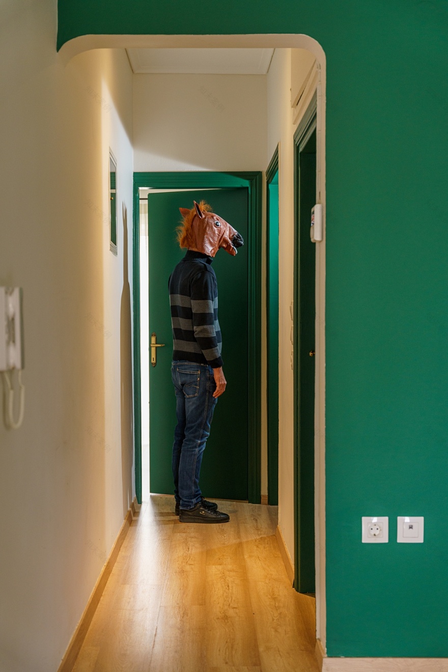 梦幻绿意 · 希腊顶楼公寓的现代改造-7