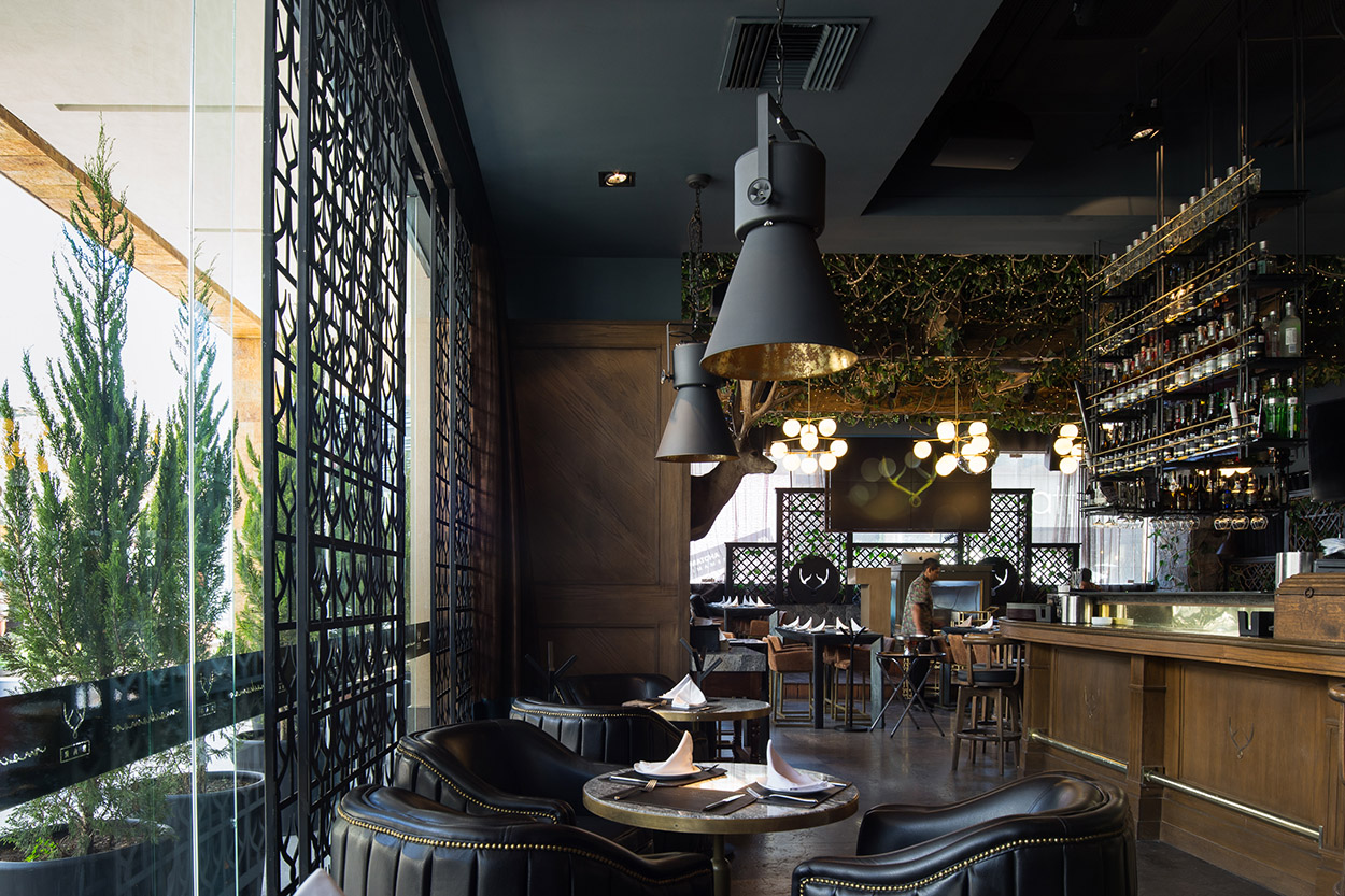 墨西哥的莫乔莫斯-10