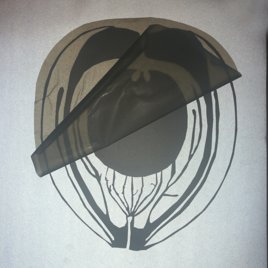 反向重生 | 女性内心挣扎的隐喻-5